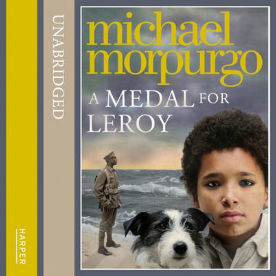 Picture of A Medal for Leroy